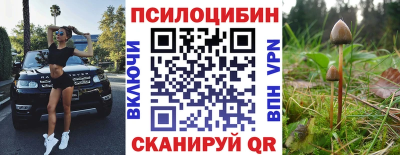 Купить  Выкса  Псилоцибиновые грибы Cubensis 